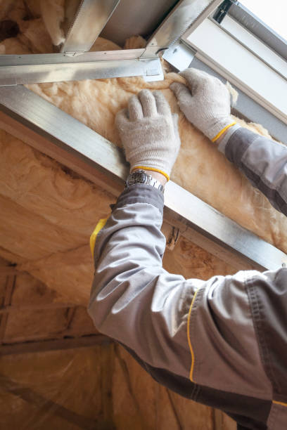 Best Insulation Maintenance and Repair in Victory Lakes, NJ